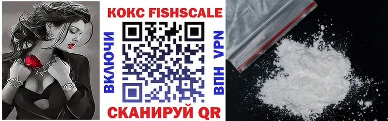 продажа наркотиков  Отрадный  Cocaine FishScale 