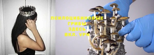 твердый Абинск