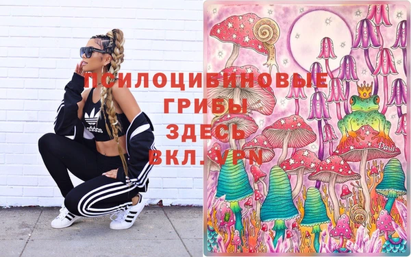 твердый Абинск
