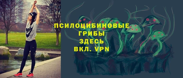 твердый Абинск