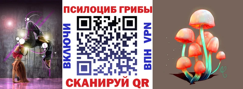 купить наркоту  Отрадный  Галлюциногенные грибы Psilocybe 