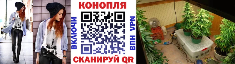 Бошки Шишки Bruce Banner  hydra ТОР  Отрадный 